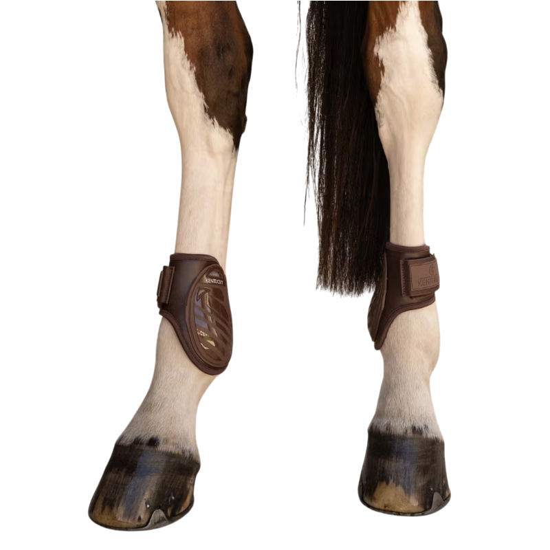Kentucky Horsewear - Protège-boulets Young Horse Pro marron
