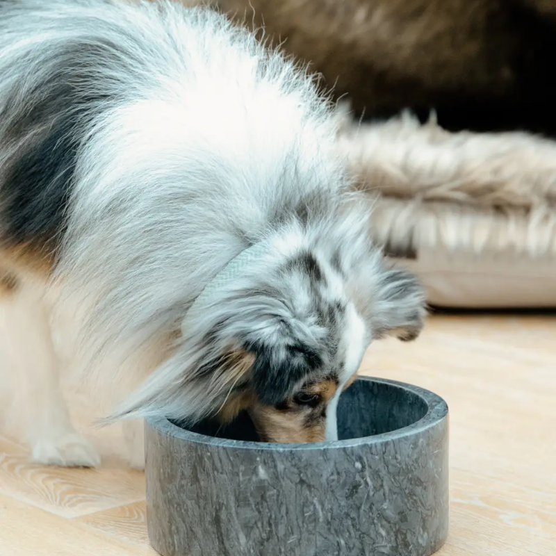 Kentucky Dogwear - Black Marble Dog Bowl 