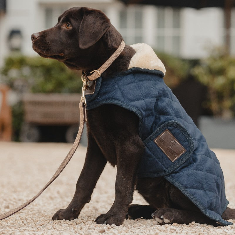 Kentucky Dogwear - Laisse pour chien nylon tressé Plaited Nylon 120 cm beige
