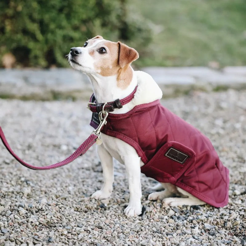 Kentucky Dogwear - Laisse pour chien nylon tressé Plaited Nylon 120 cm bordeaux