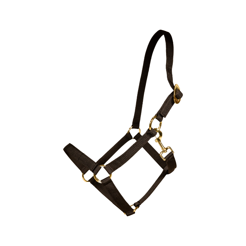Kentucky Horsewear - Black Nylon Halter 