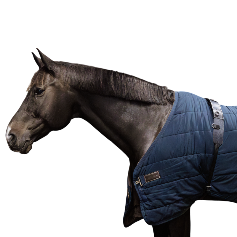 Kentucky Horsewear - Black nylon surfboard 