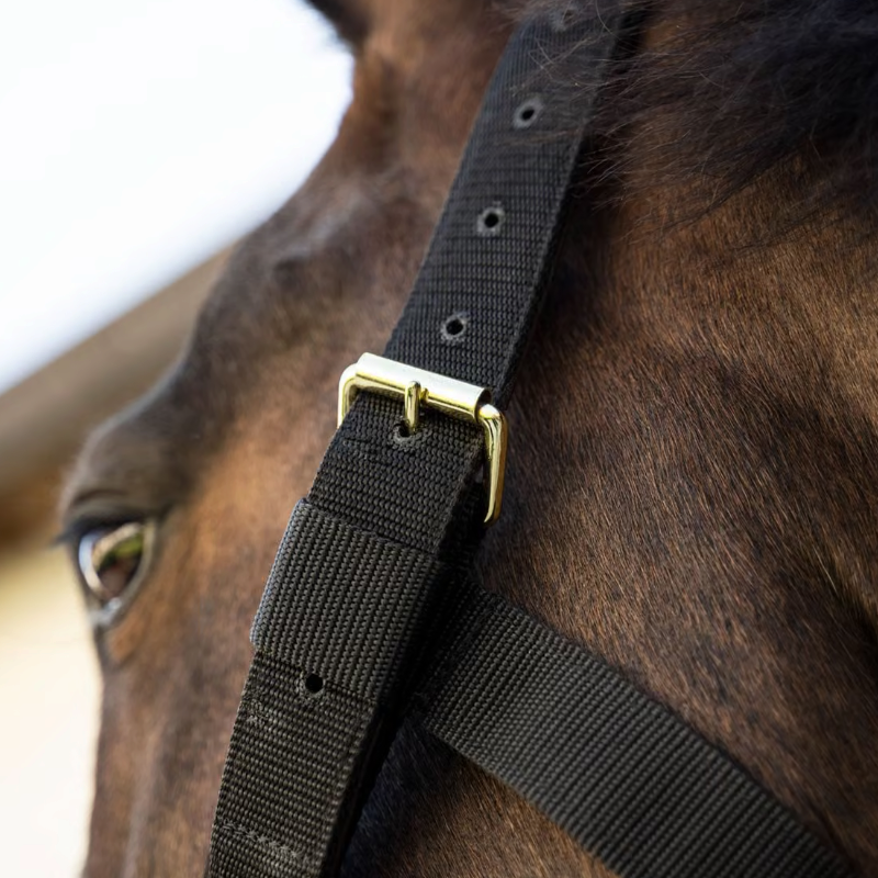 Kentucky Horsewear - Black Heavy Duty Halter
