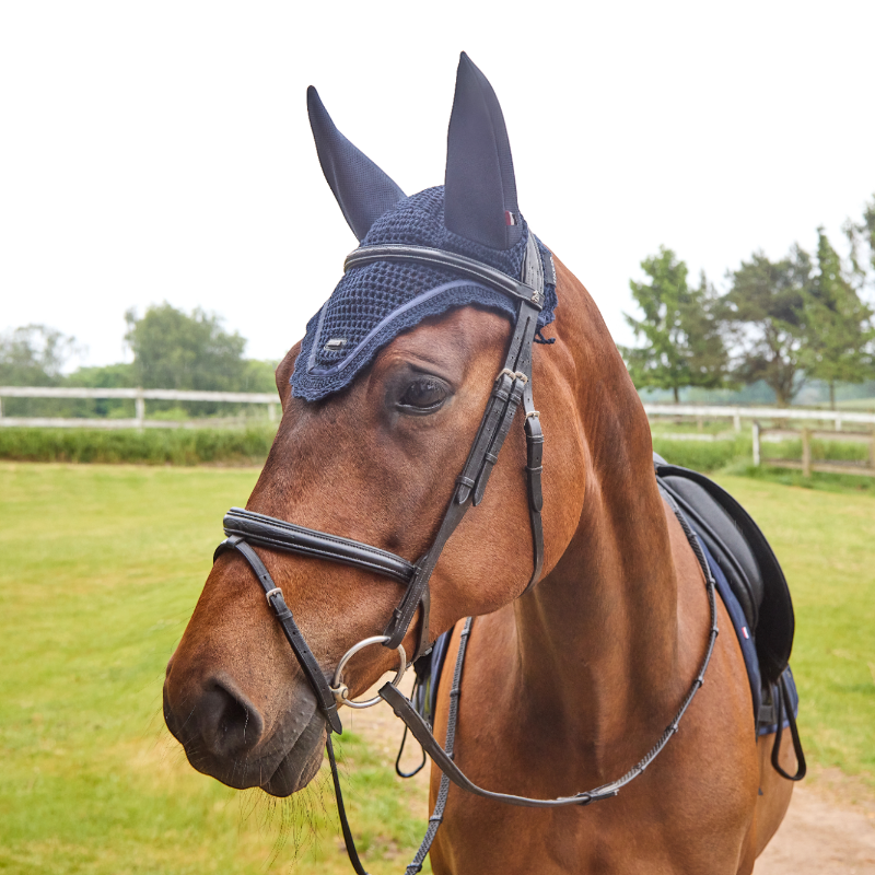 Kingsland - KLNelly marine horse bonnet 