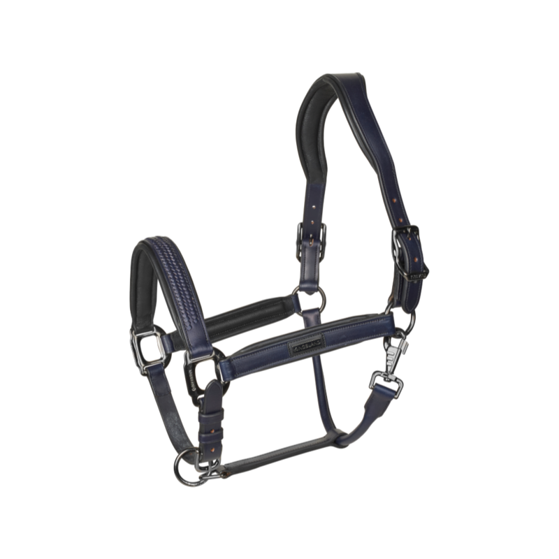Kingsland - KLNeville Leather Headcollar Evening Blue