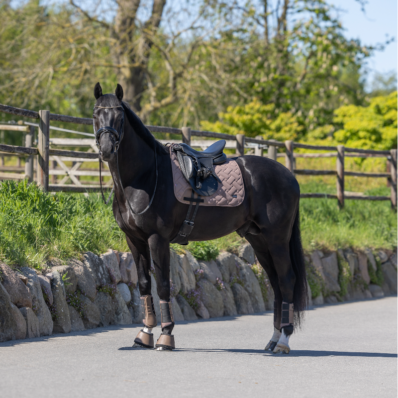 Kingsland - Dressage saddle pad KLLexie brown iron | - Ohlala