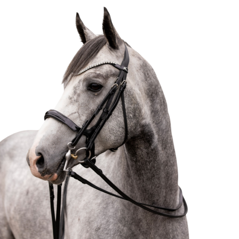 K By Equithème - Briglia K-KURVE nera