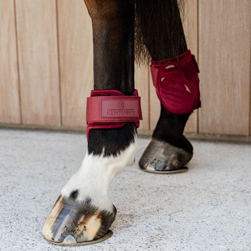 Kentucky Horsewear - Protège-boulets jeunes chevaux Velvet bordeaux | - Ohlala