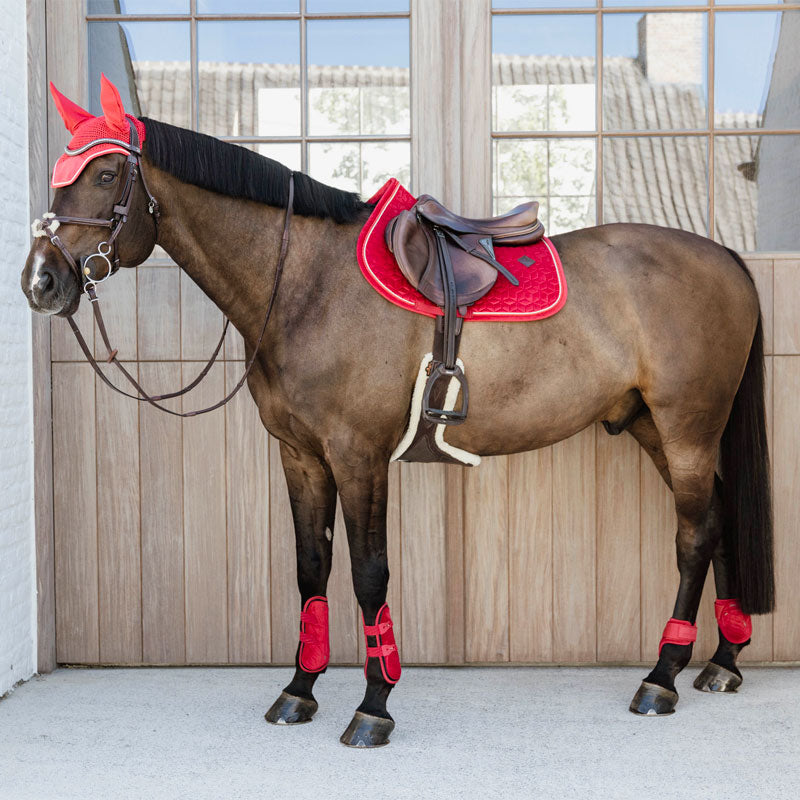 Kentucky Horsewear - Protège-boulets jeunes chevaux Velvet rouge | - Ohlala