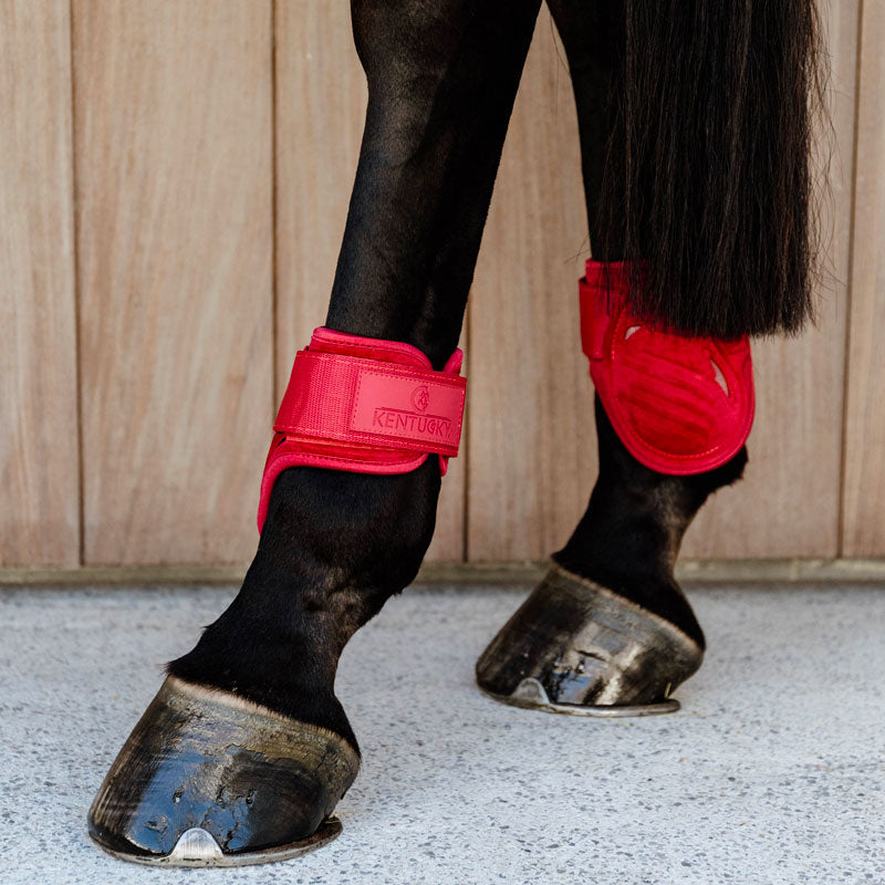 Kentucky Horsewear - Protège-boulets jeunes chevaux Velvet rouge | - Ohlala