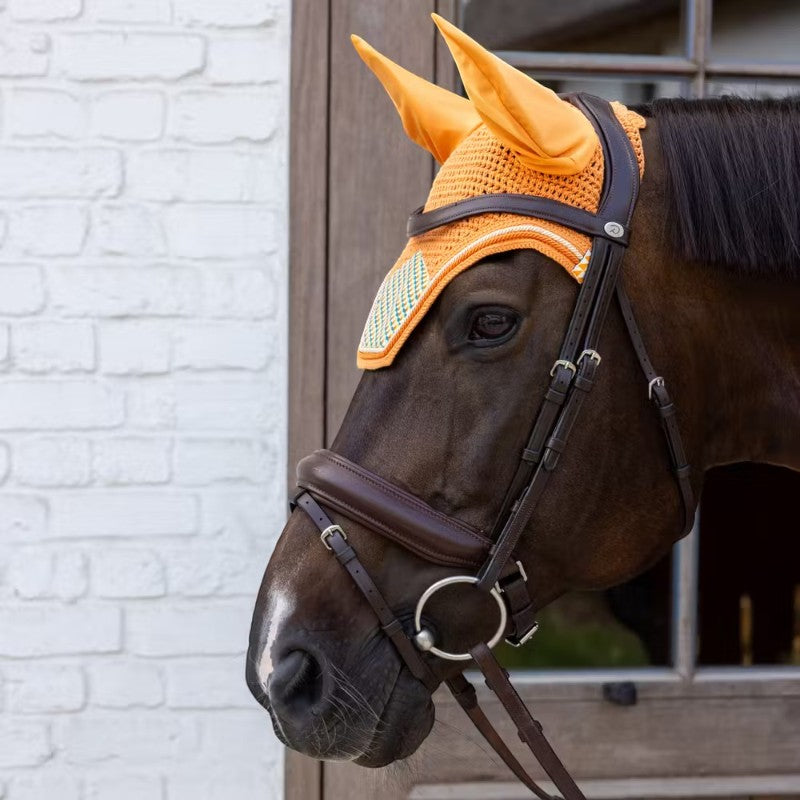 Kentucky Horsewear - 馬用ボンネット Wellington Velvet Printing cubes カラフル | - Ohlala