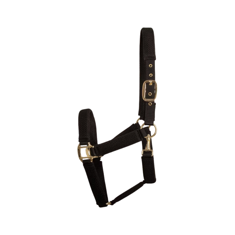 Kentucky Horsewear - Horse halter Halter black | - Ohlala