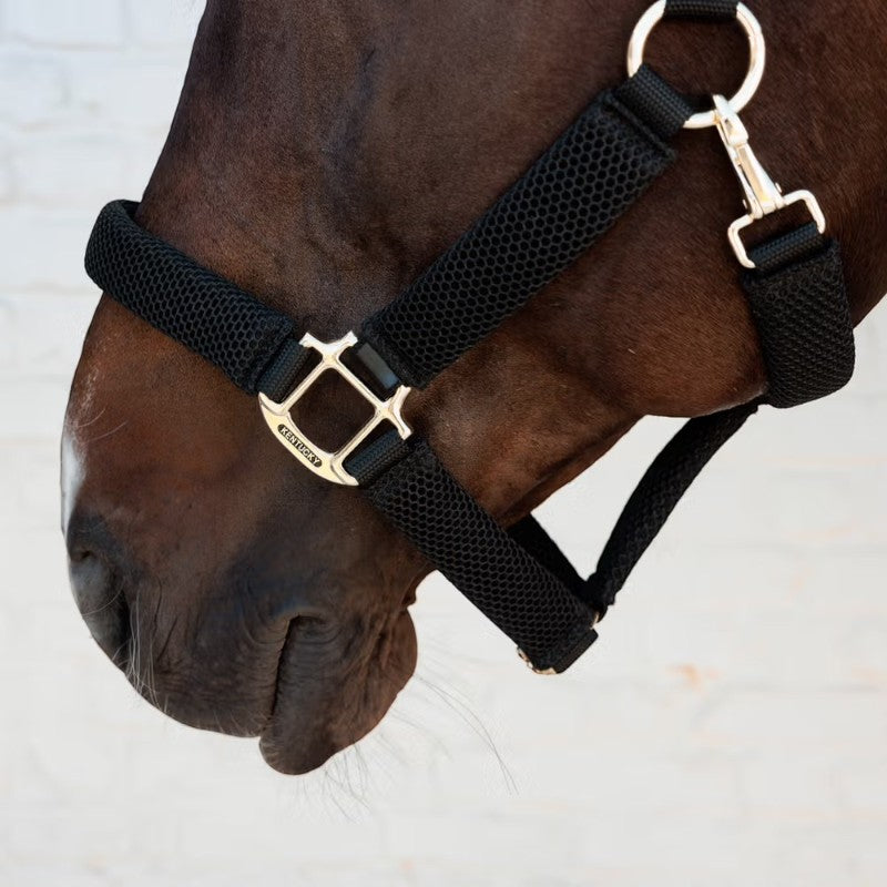 Kentucky Horsewear - Horse halter Halter black | - Ohlala