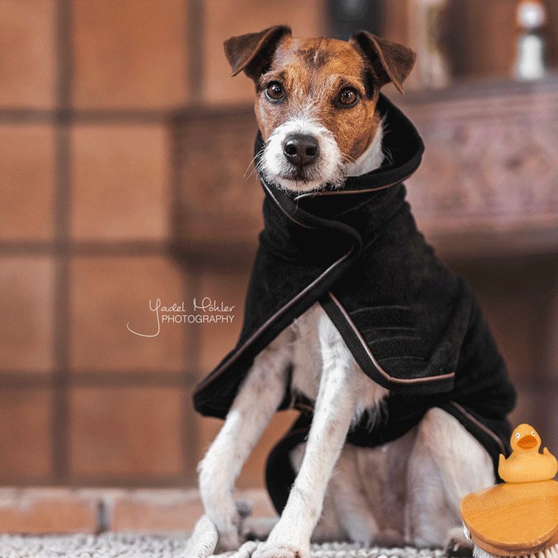 Kentucky Horsewear - Manteaux pour chiens Eponge | - Ohlala