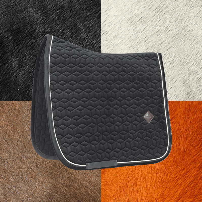 Kentucky Horsewear - Tapis de dressage Basic Velvet noir | - Ohlala