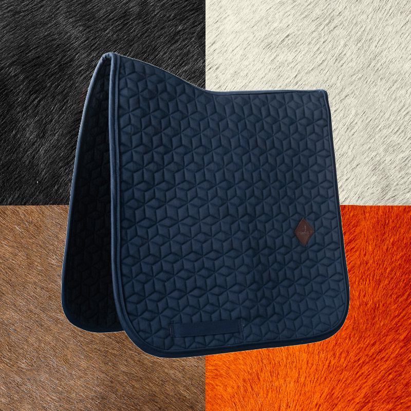 Kentucky Horsewear - Tapis de dressage basique marine | - Ohlala