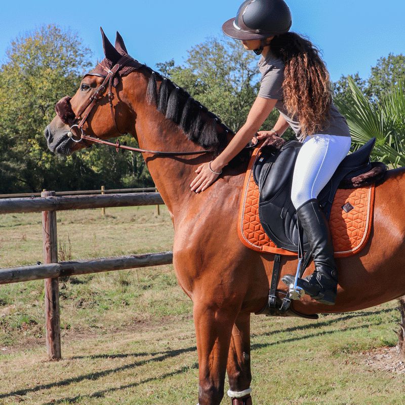 Kentucky Horsewear - Tapis de dressage Velvet Orange | - Ohlala