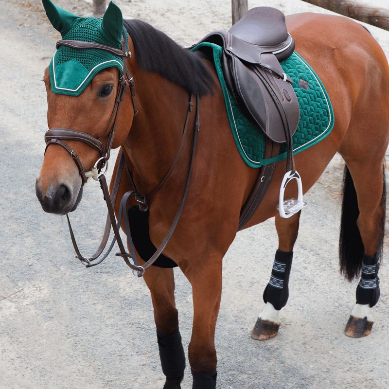 Kentucky Horsewear - Tapis de selle Velvet Jumping Vert Foncé | - Ohlala