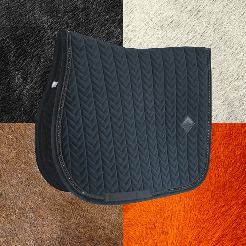 Kentucky Horsewear - Tapis de selle Velvet Pearls jumping noir | - Ohlala