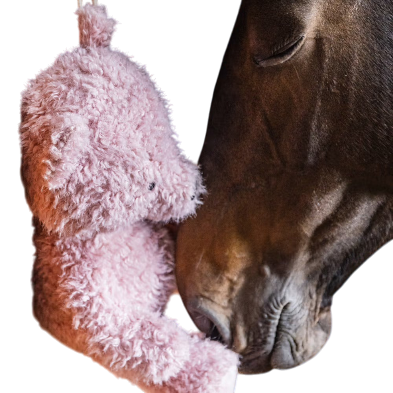 Kentucky Horsewear - Jouet pour chevaux Ours vieux rose | - Ohlala