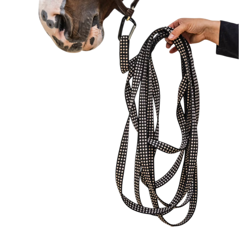 Kentucky Horsewear - Werklonge 8m zwart | - Ohlala
