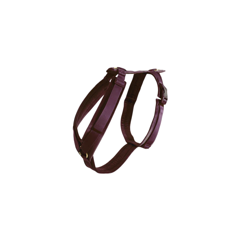 Kentucky Dogwear - Burgundy Velvet Active Dog Harness