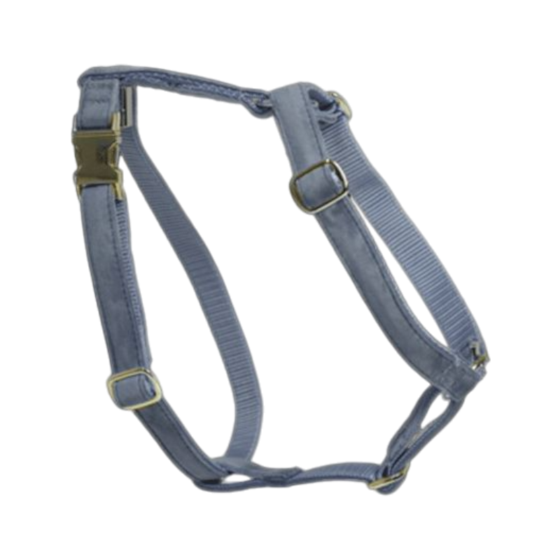 Kentucky Dogwear - Velvet Dog Harness Sky Blue