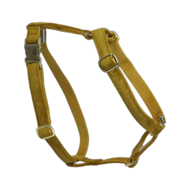 Kentucky Dogwear - Mustard Velvet Dog Harness