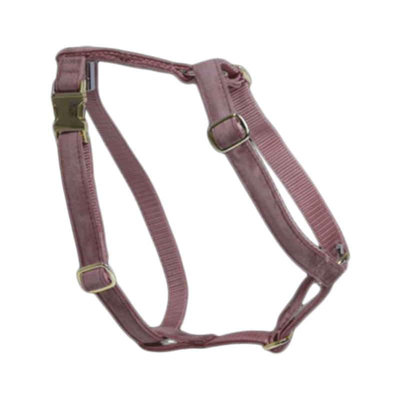 Kentucky Dogwear - Velvet dog harness, old pink