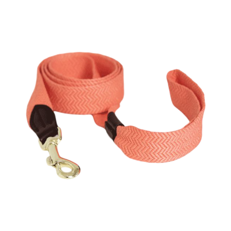 Kentucky Dogwear - Neon Orange Jacquard Dog Leash