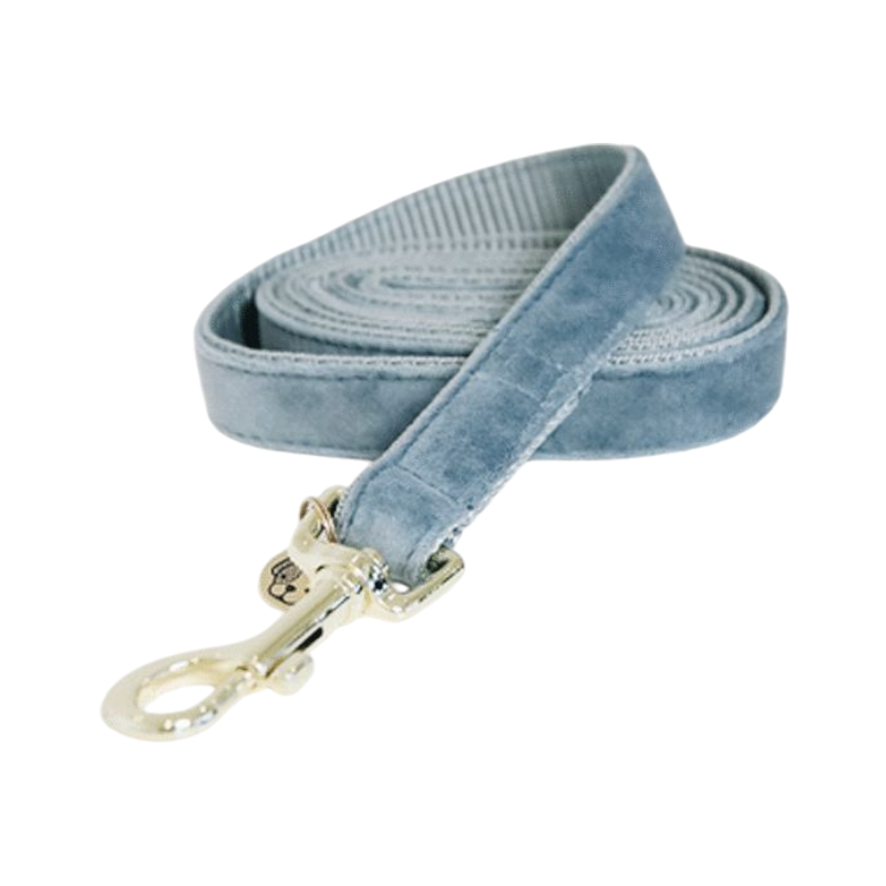 Kentucky Dogwear - Velvet dog leash 120 cm light blue