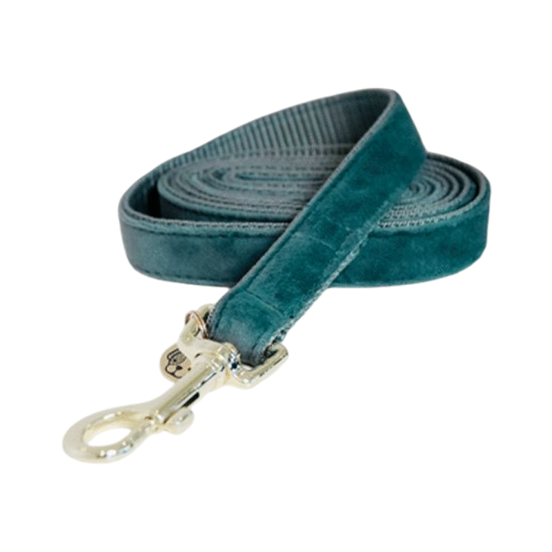 Kentucky Dogwear - Velvet dog leash 120 cm emerald