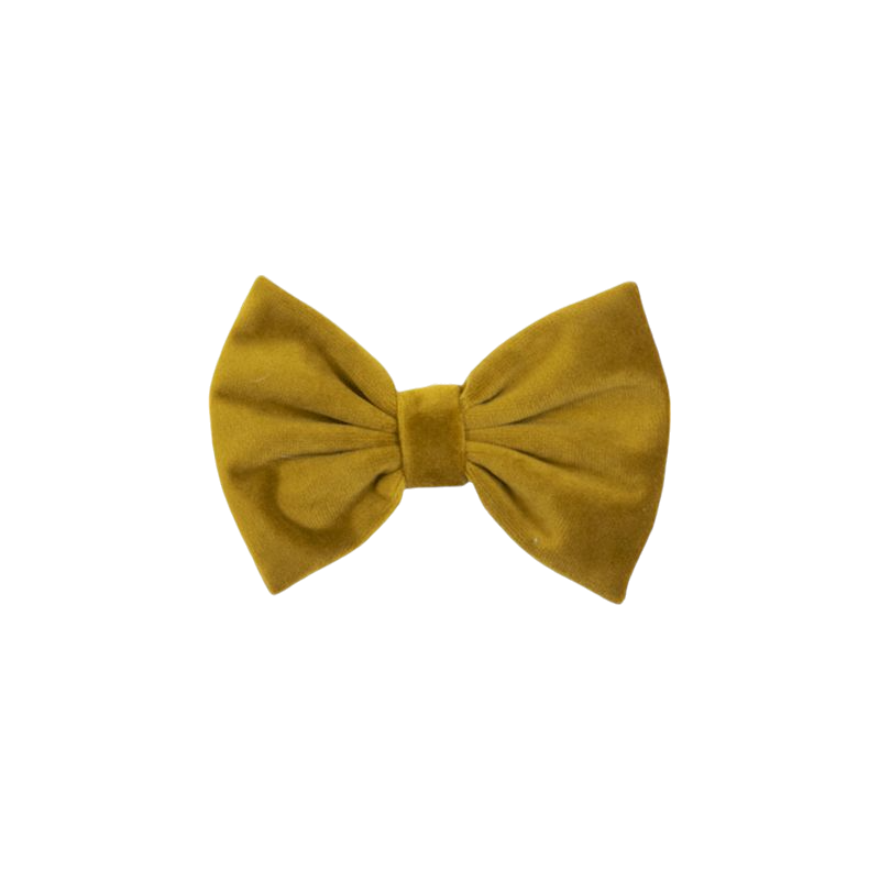 Kentucky Dogwear - Mustard Velvet Bow Tie