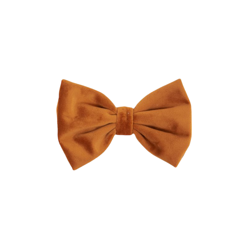 Kentucky Dogwear - Orange Velvet Bow Tie