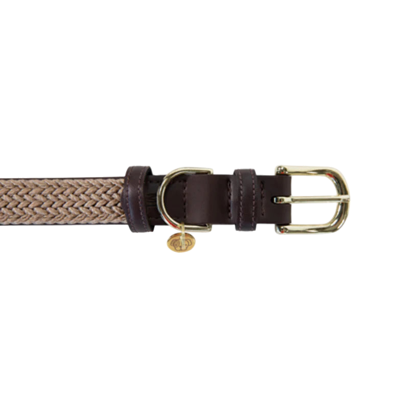 Kentucky Dogwear - Nylon Braided Dog Collar Beige
