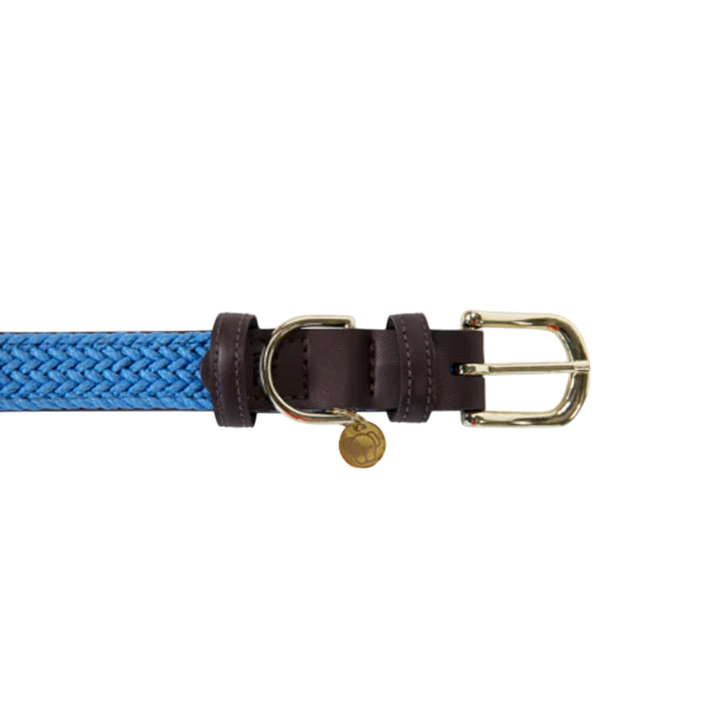 Kentucky Dogwear - Nylon Braided Dog Collar Light Blue