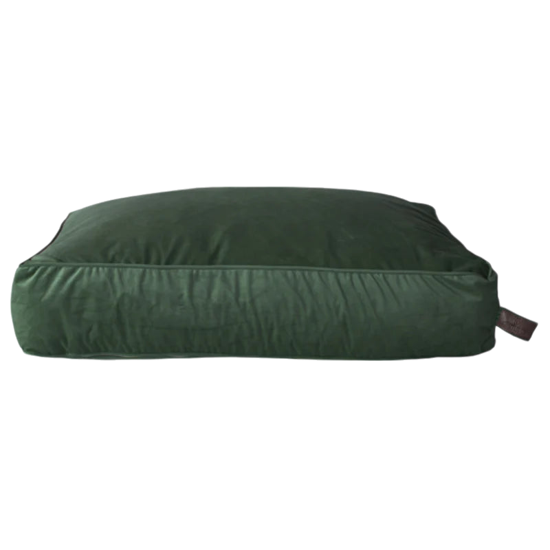 Kentucky Dogwear - Velvet dog pillow, pine green