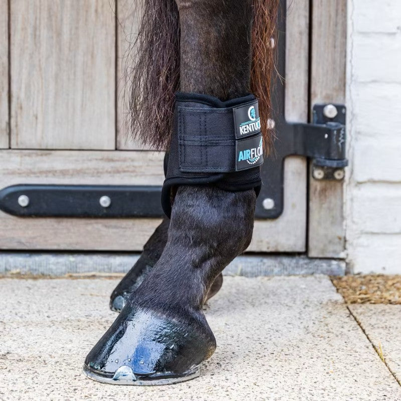 Kentucky Horsewear - Short Rear Cross Country Boots 3D Air Flow Skin Friendly Black | - Ohlala