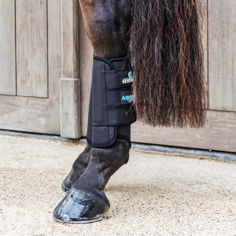 Kentucky Horsewear - 3D Air Flow Skin Friendly Rear Cross-Country Boots Black | - Ohlala