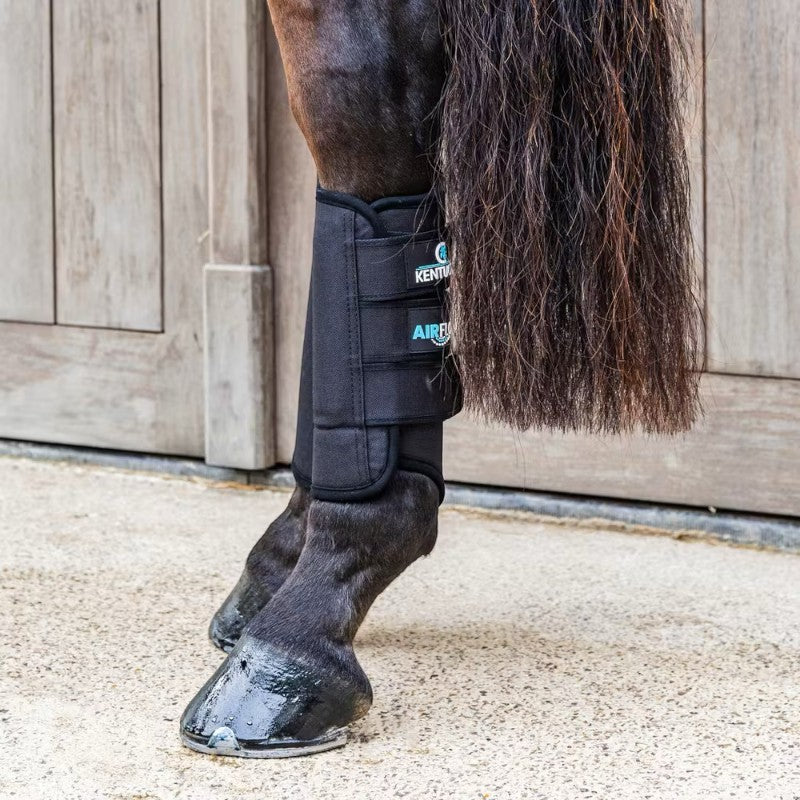 Kentucky Horsewear - Guêtres de cross postérieurs 3D Air Flow noir | - Ohlala