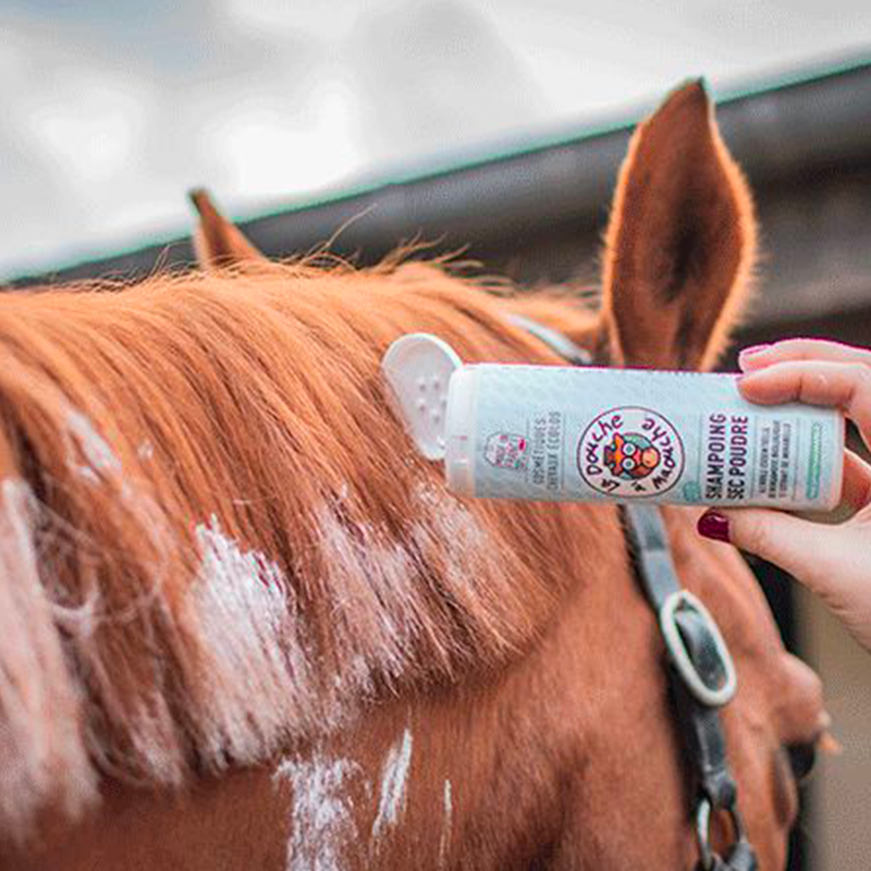 La Douche A Maouche - Dry Shampoo Powder Horses