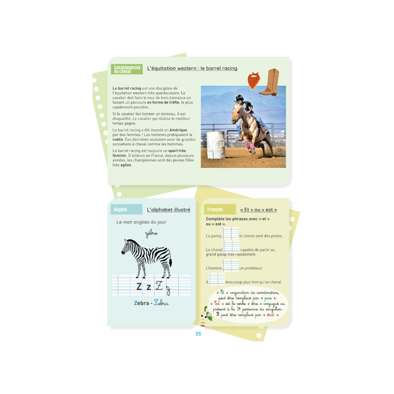 Lavauzelle - Cahier d'activités sur le thème du cheval niveau CE2
