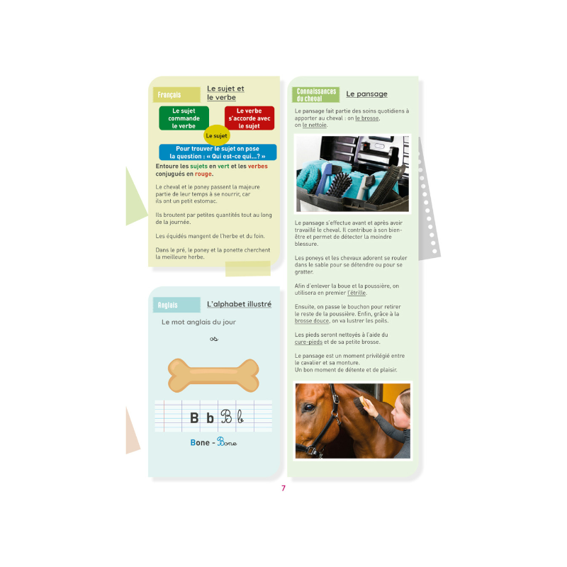 Lavauzelle - Cahier d'activités sur le thème du cheval niveau CM1