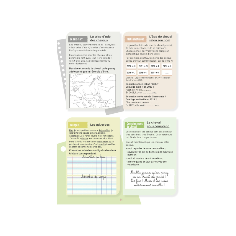 Lavauzelle - Cahier d'activités sur le thème du cheval niveau CM1
