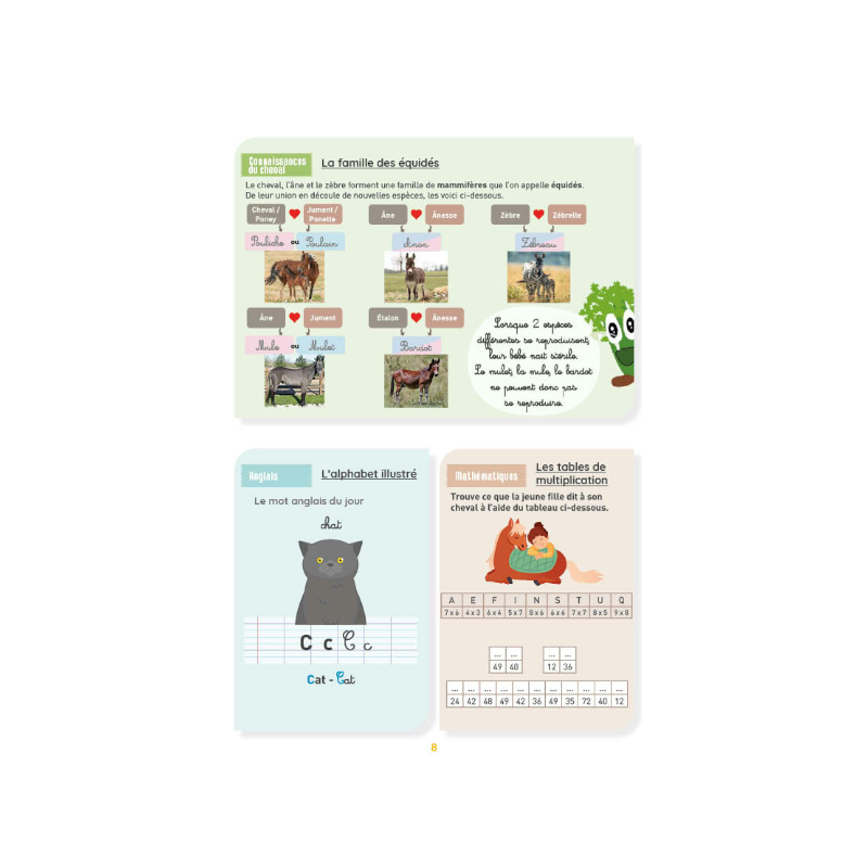 Lavauzelle - Cahier d'activités sur le thème du cheval niveau CM2