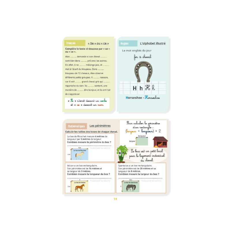 Lavauzelle - Cahier d'activités sur le thème du cheval niveau CM2