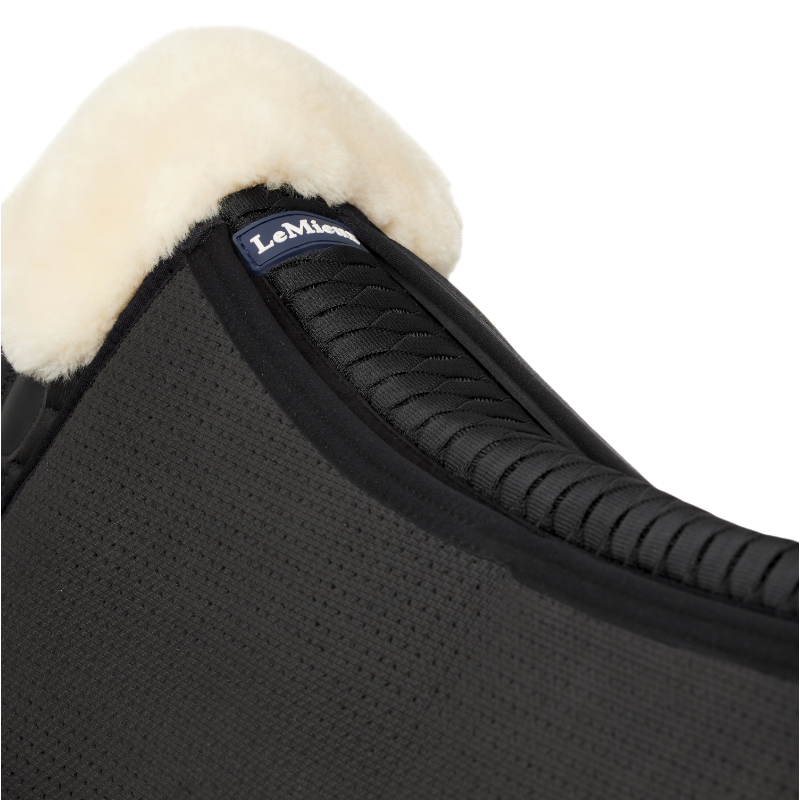 Lemieux - Natural aerodynamic damper / black 