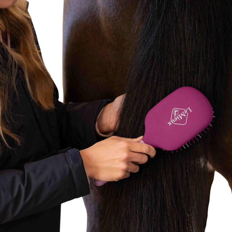LeMieux - Tidy Detangling Brush in Blackberry