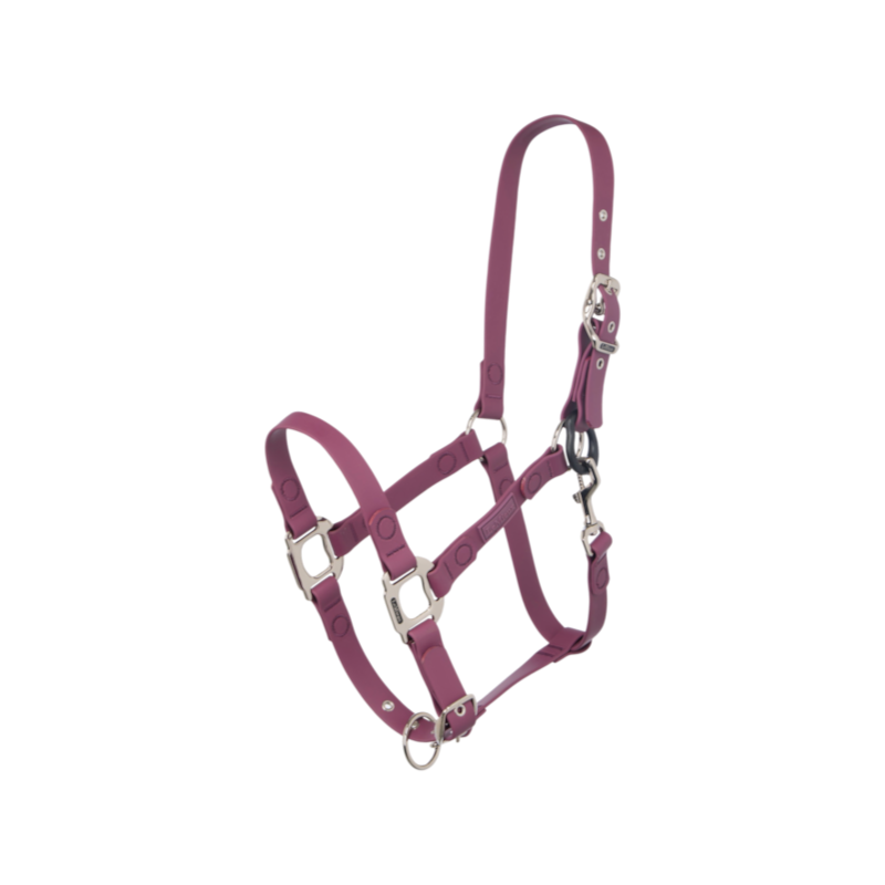 Fieldflex Halter in Blackberry - LeMieux