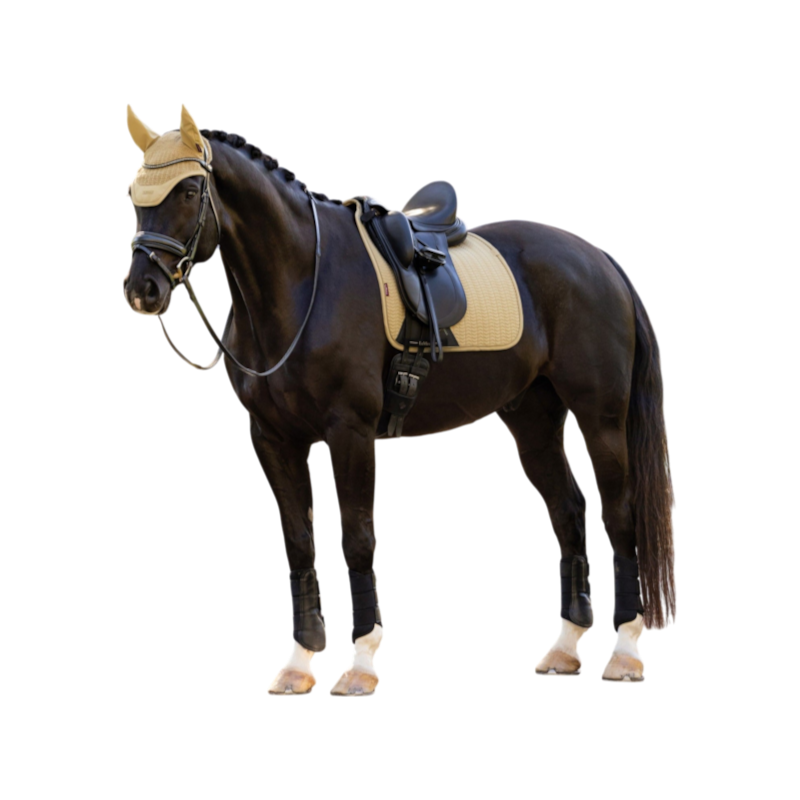 LeMieux - Tapis de dressage Essence pear